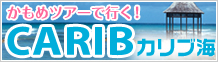 �����ĥ����ǹԤ���CARUB����ֳ�