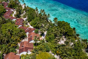 �Х�ɥ������ǥ��֡ʥǥ�å������ӡ������ե���ȡˡ����᡼��