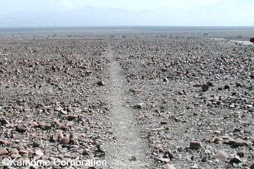 �Ͼ峨���ФȺ����������������Ƥ���ʥ��᡼����