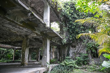        ペリリュー島（イメージ）