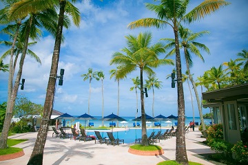 �ѥ饪 �ѥ��ե��å� �꥾���ȡ��ס���ʥ��᡼����