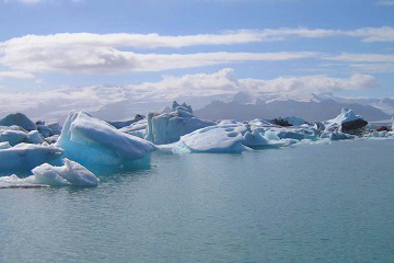 �衼���륵�����ɹ�ϸ�/���᡼��