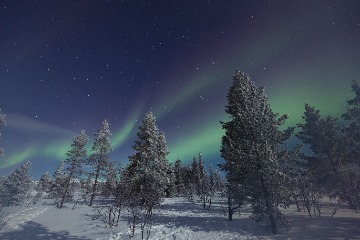 �ڥ����ꥻ�륫�ۥ�������ʥ��᡼����