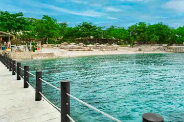 ���ܥ��ޥ�����˥塼������åޥ�����˥塼������ӡ���1�ʥ��᡼����