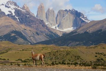 �ѥ��͹�Ω���ࡿ���᡼��(PNTȯ)