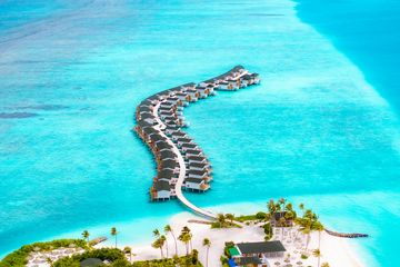 JOY ISLAND �����᡼��