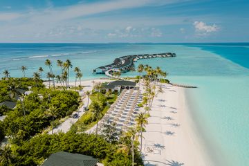 JOY ISLAND �����᡼��