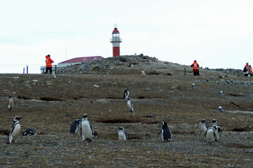 �ޥ����졼����ڥ󥮥󥳥��ˡ������᡼��