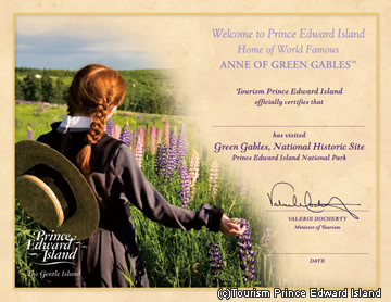 �ץ�󥹥��ɥ����ˬ�������/���᡼��