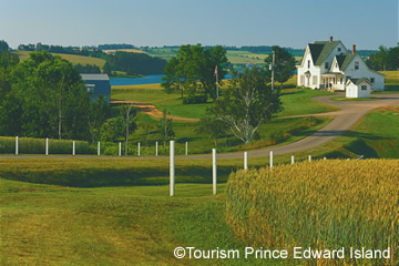 �ץ�󥹥��ɥ����/���᡼��