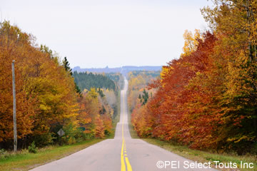 ���Υץ�󥹥��ɥ����/���᡼��