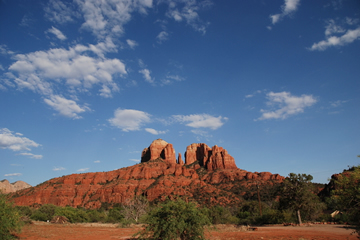 ���ɥʤΥ�åɥ��å�/���᡼��