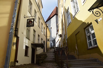ヘルシンキ大聖堂（イメージ）Visit Helsinki