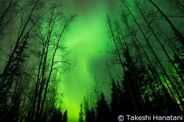 ��������Ѿ�/���᡼��