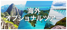 海外現地オプショナルツアー