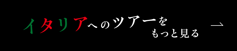 イタリアへのツアーをもっと見る