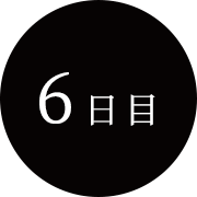 6日目