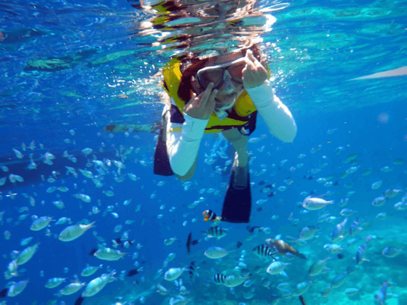 美しい海では、目の前でカラフルな魚の姿を楽しむことも♪