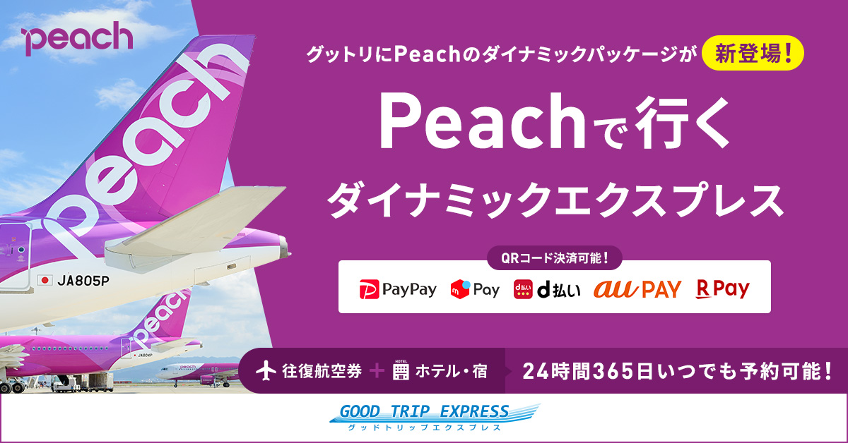 Peachで行くダイナミックエクスプレス　24時間365日いつでも予約可能