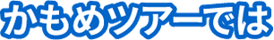 かもめツアーでは