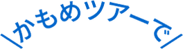 かもめツアーで