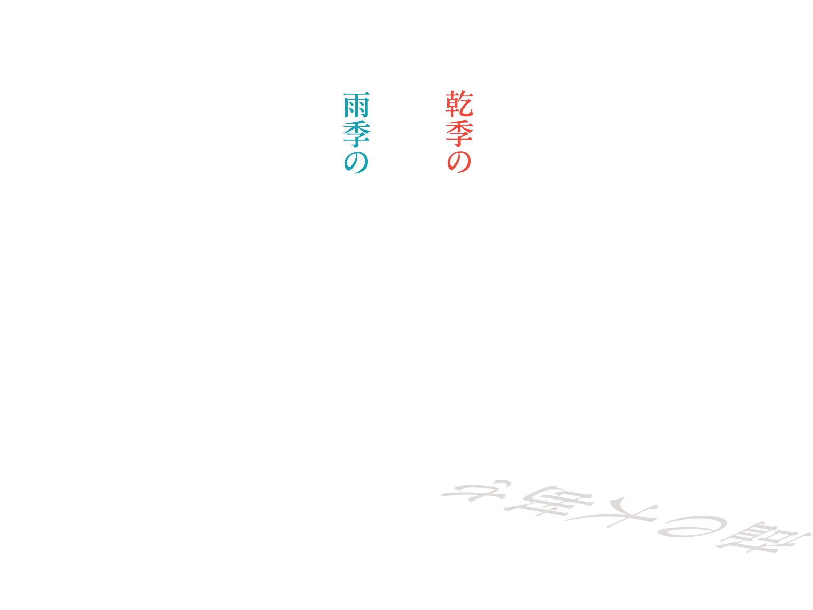 雨季の鏡張りか、乾季の塩の大地か