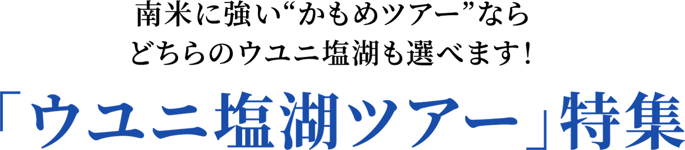 南⽶に強い“かもめツアー”ならどちらのウユニ塩湖も選べます！「ウユニ塩湖ツアー」特集