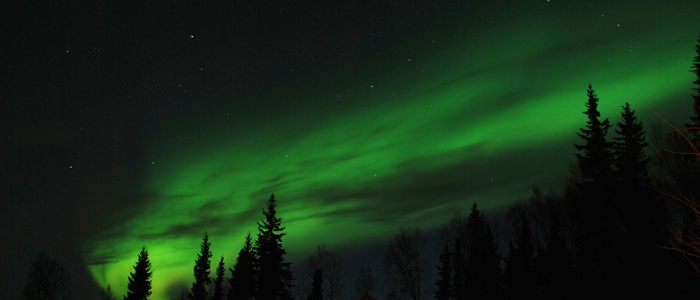 【アラスカ・フェアバンクス】オーロラが夜空を覆う絶景スポット