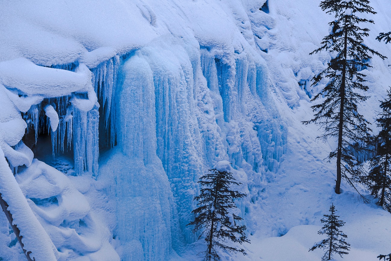 冬のカナダハイキング